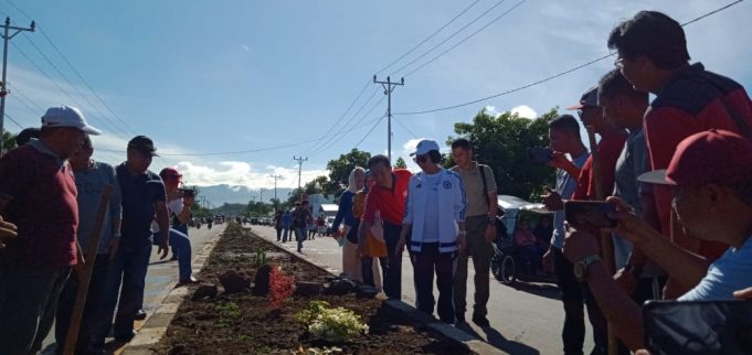 Bunga Bougenvile dan Tabebuya Memperindah Ibukota Bolmong